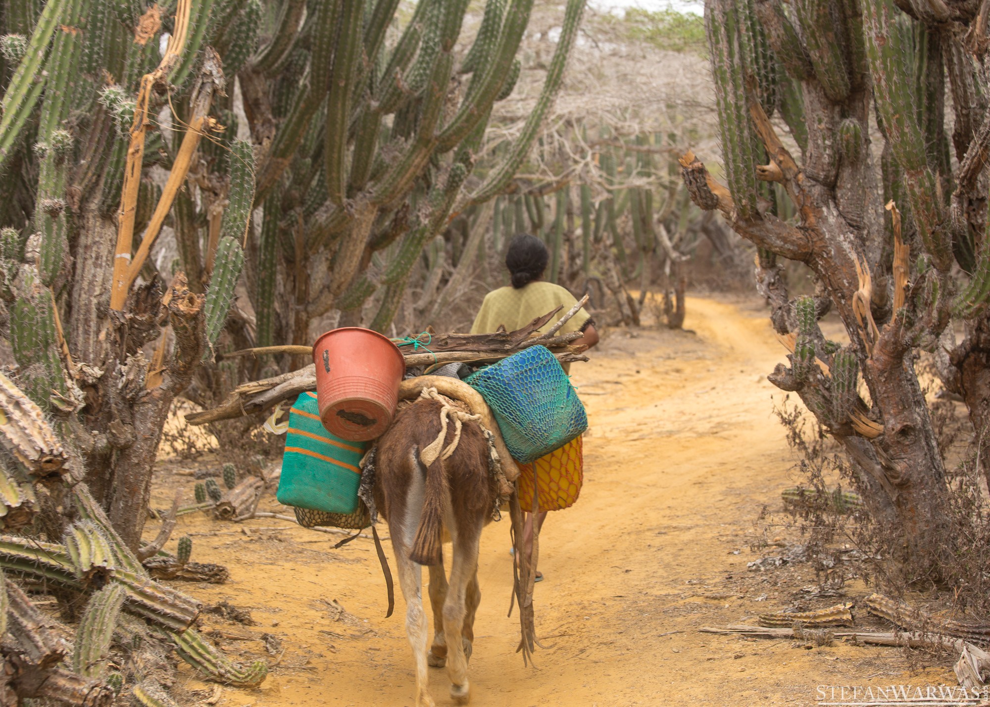 Wayuu Transport in Alta Guajira